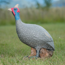 Wildcrete Guinea Fowl